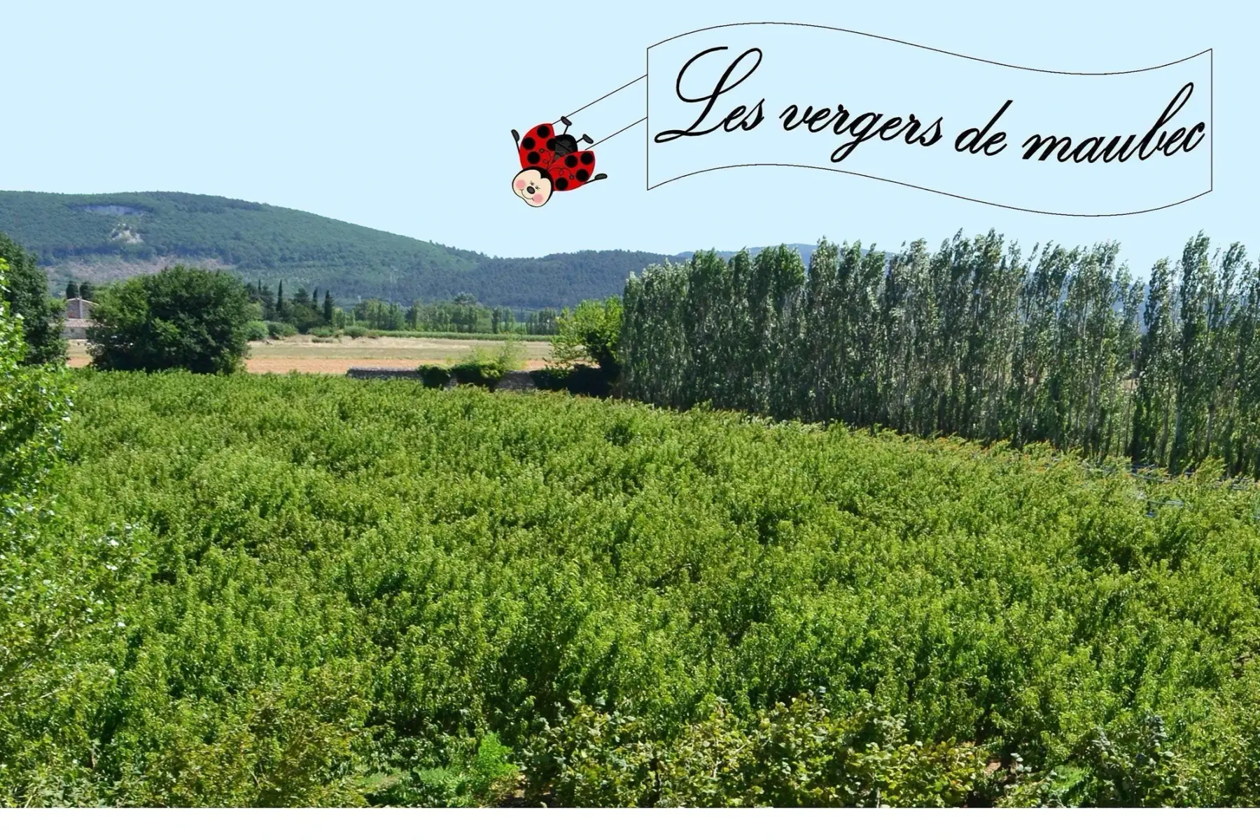 LES VERGERS DE MAUBEC