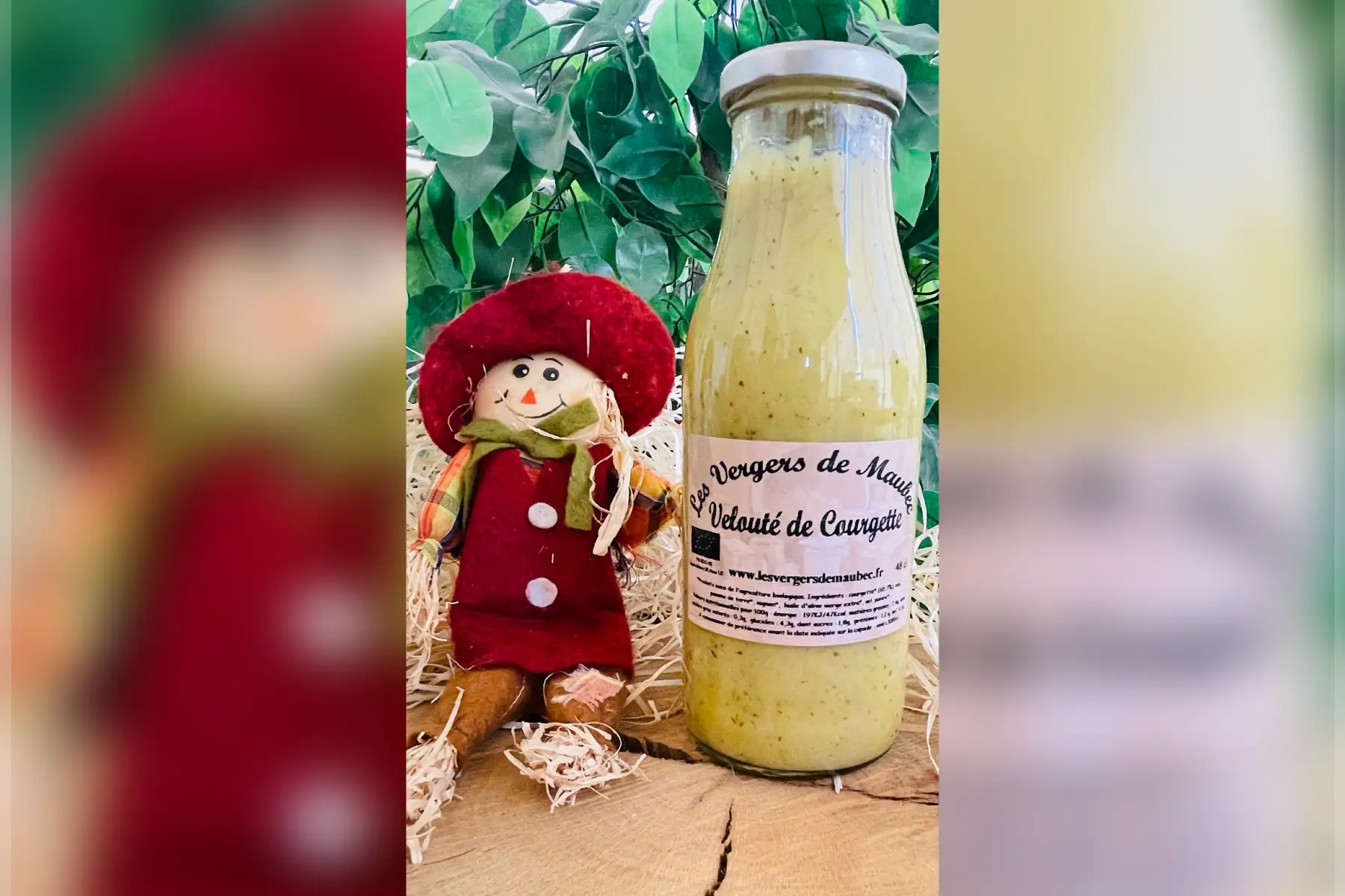 velouté de courgette bio