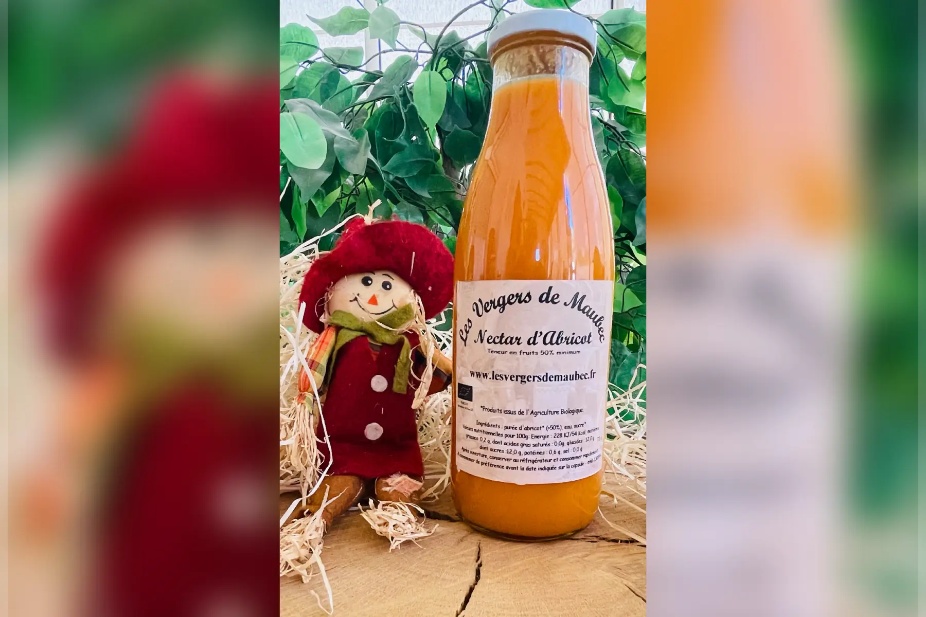 nectar d'abricot bio