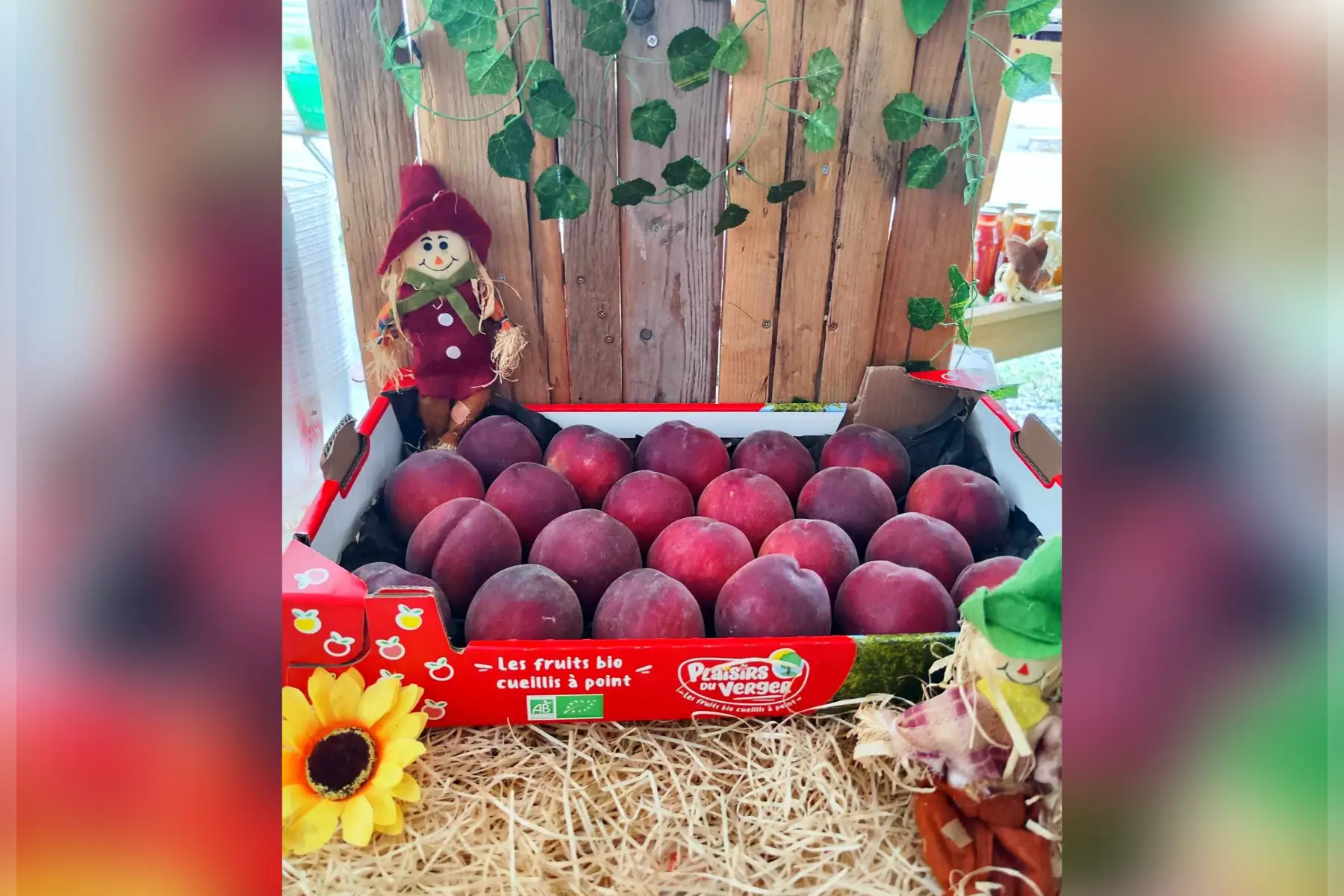 pêches blanches bio