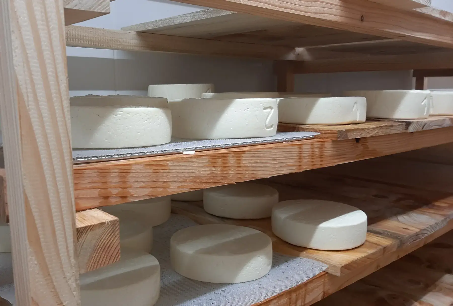 tomme bio de brebis- de cuisine