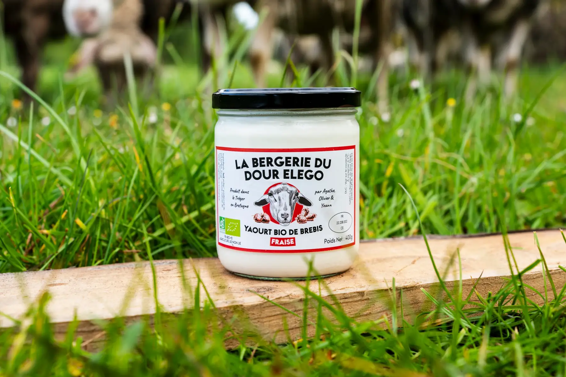1 yaourt de brebis fraise