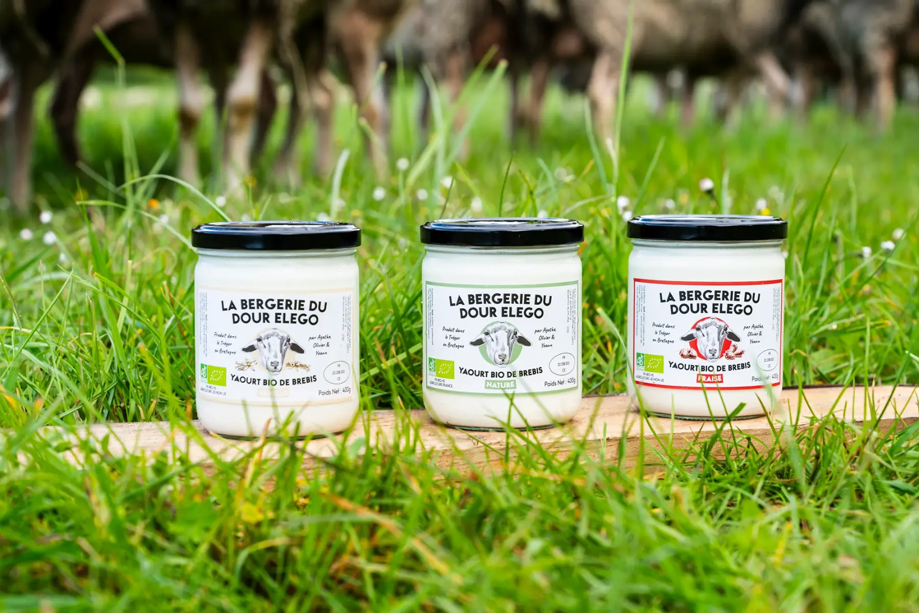 3 yaourt de brebis 1vaille 1 fraise 1 nature