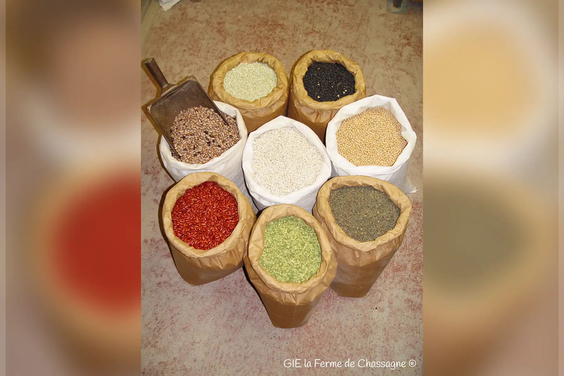 les fermes de chassagne sas