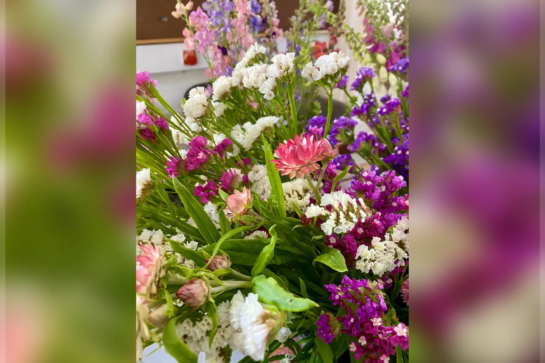 Ferme Florale des Marrous