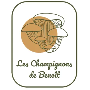 champignons de kerean