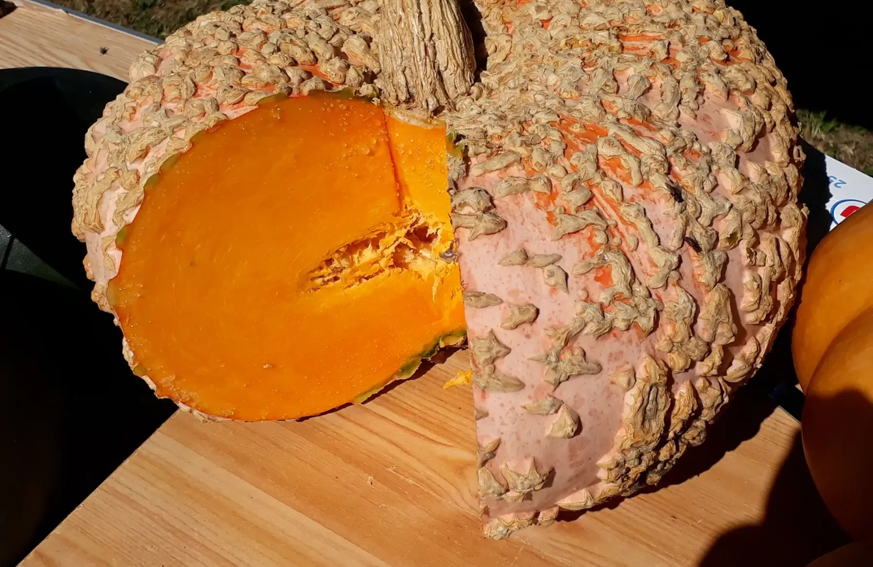 Tranche de courge Galeuse D'Eysine