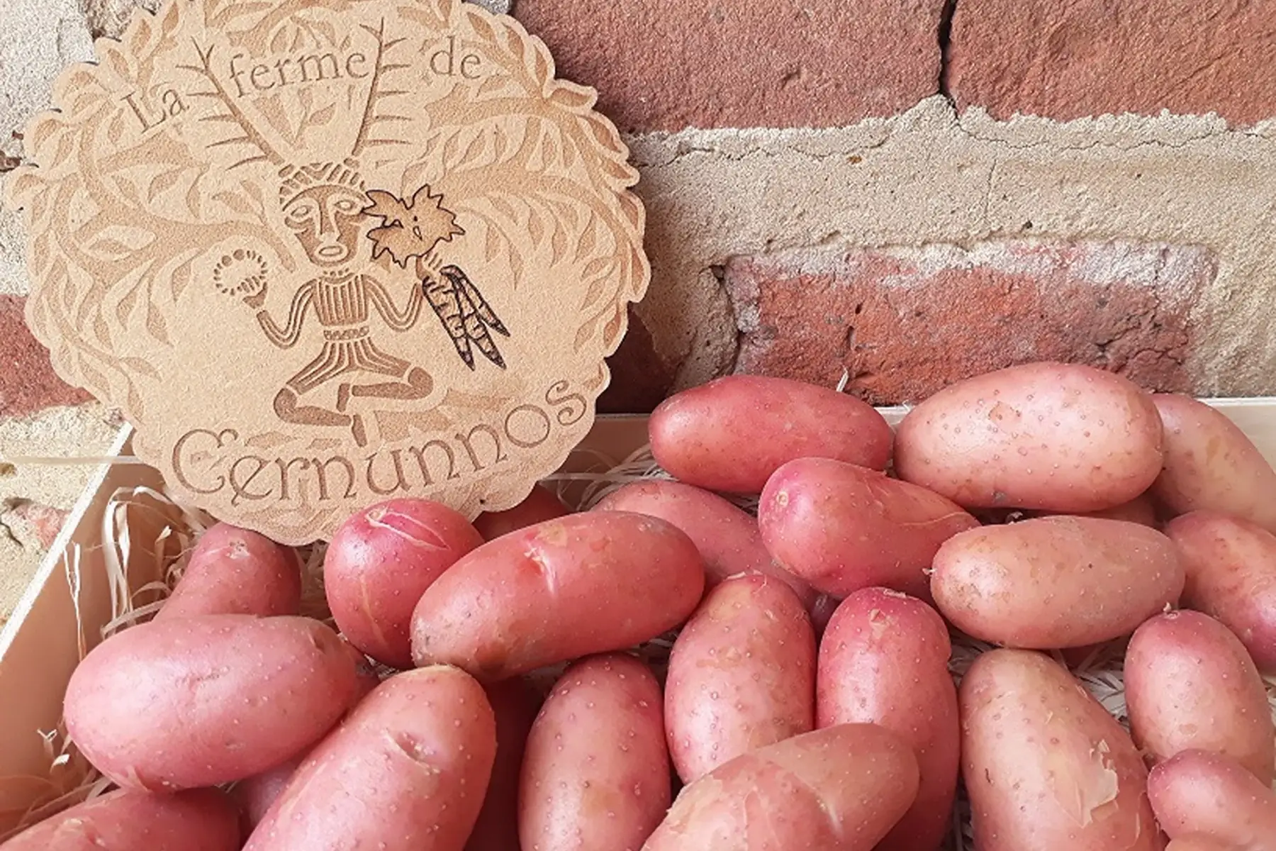 pommes de terre nouvelles "jeannette"