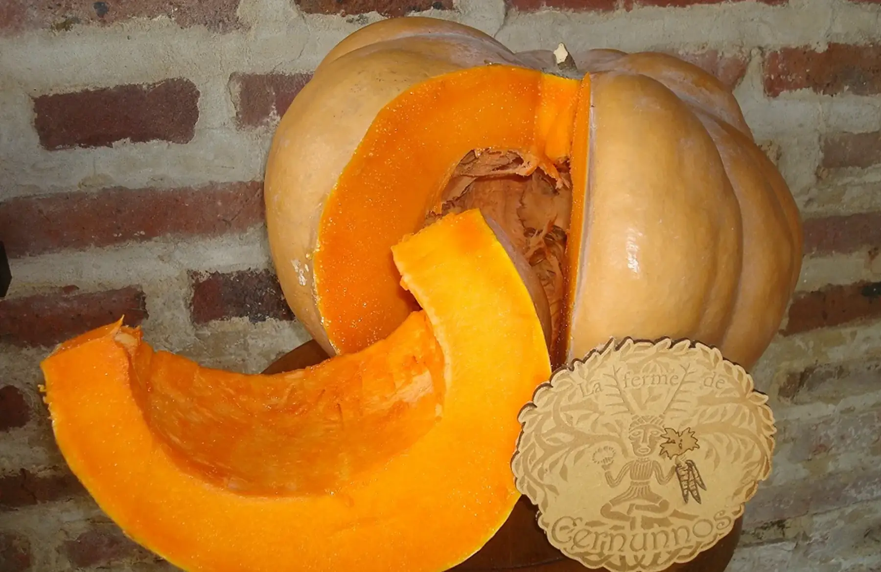 Tranche de courge Musquée de Provence