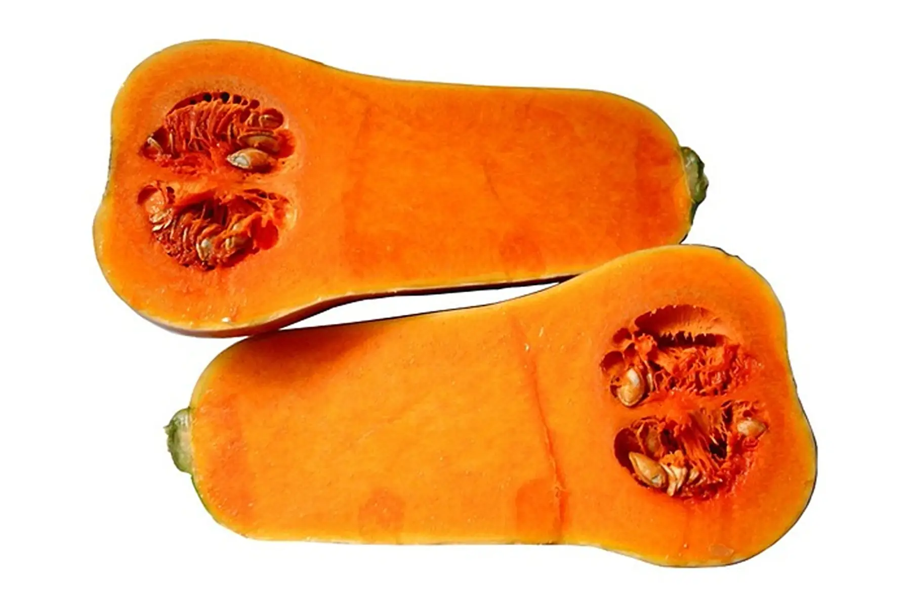 Butternut