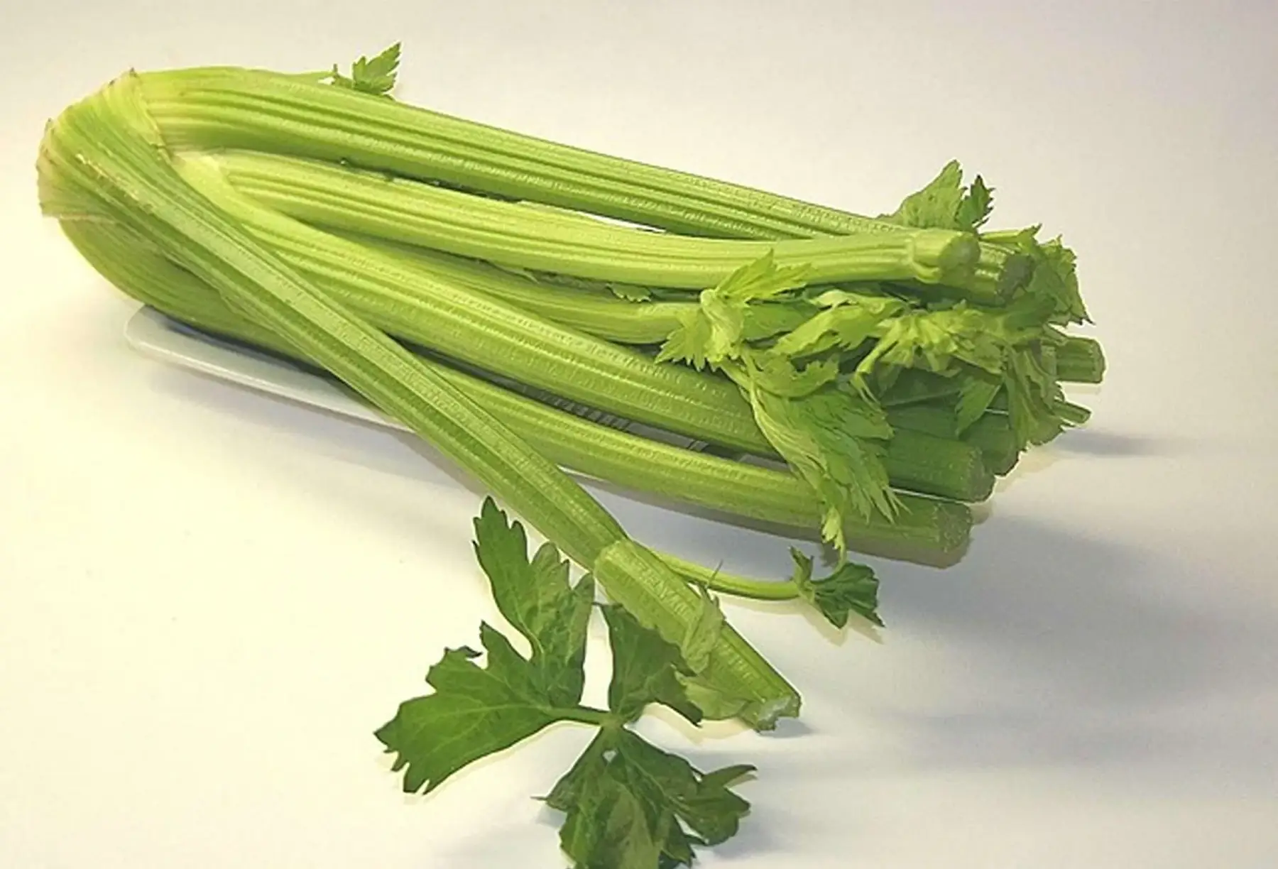 Céleri branche