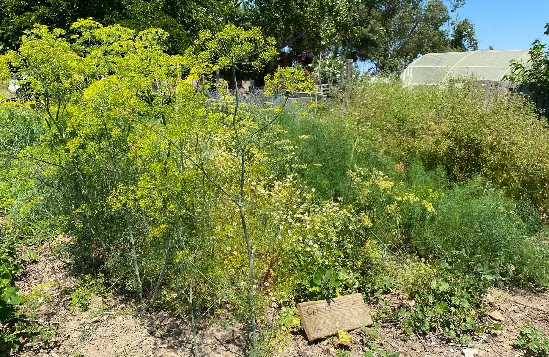 Ferme du Trait Fachet