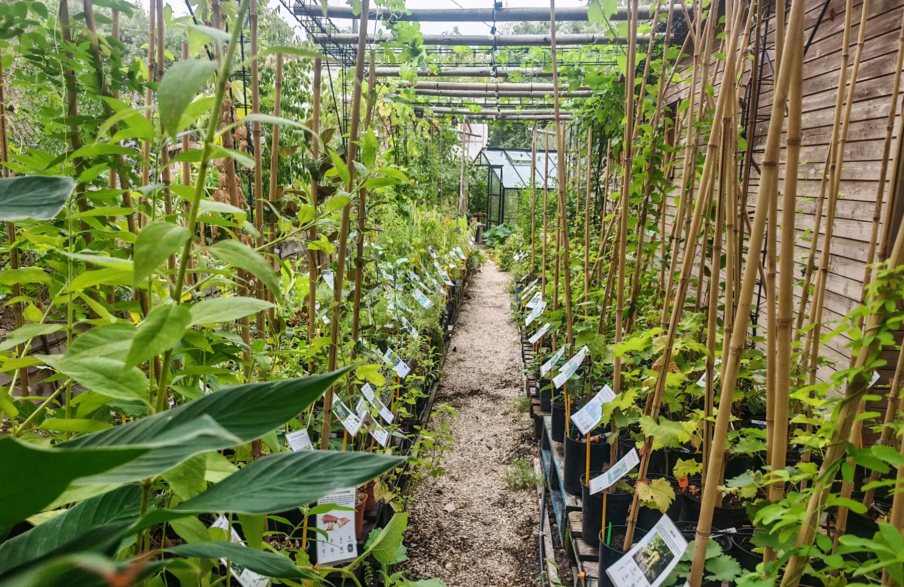 Le Jardin Gourmand
