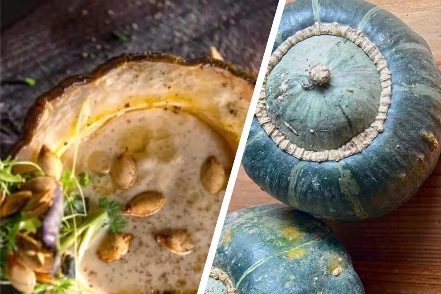 Courge buttercup