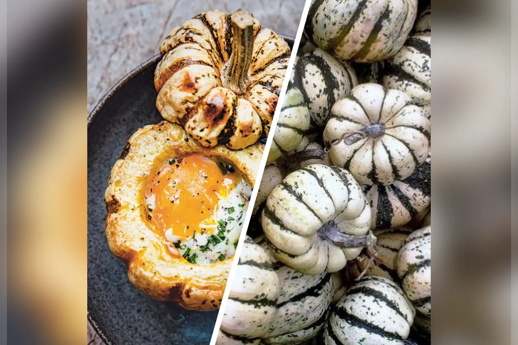Courge patidou