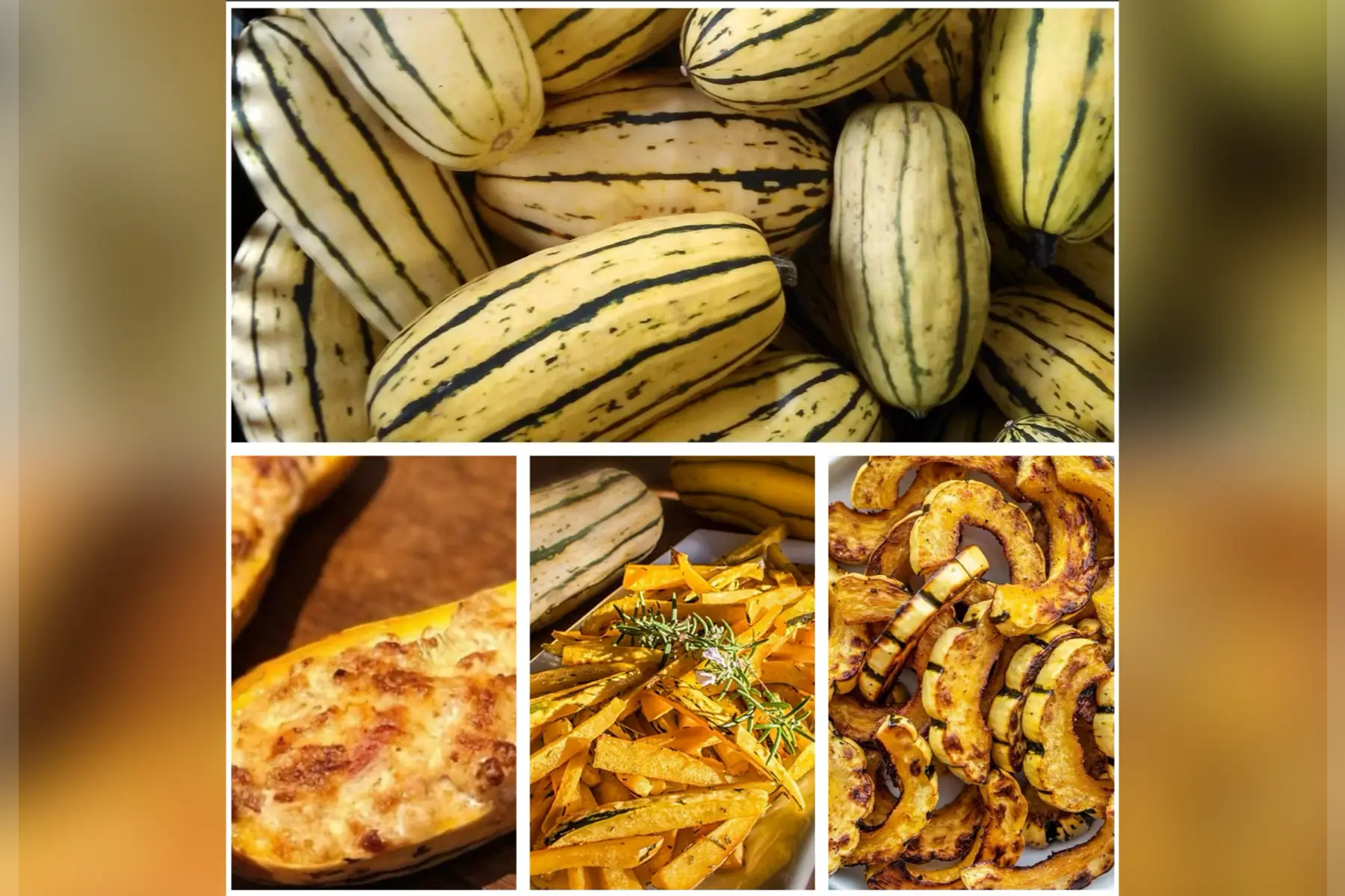 Courge délicata
