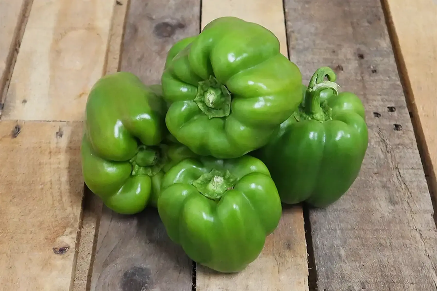 Poivron vert