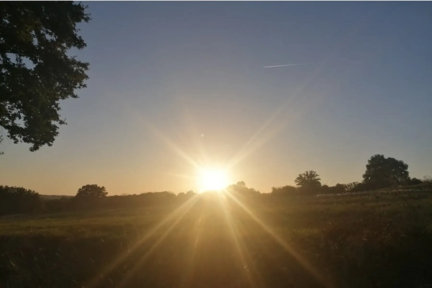 Ferme Ô Champs Des Possibles