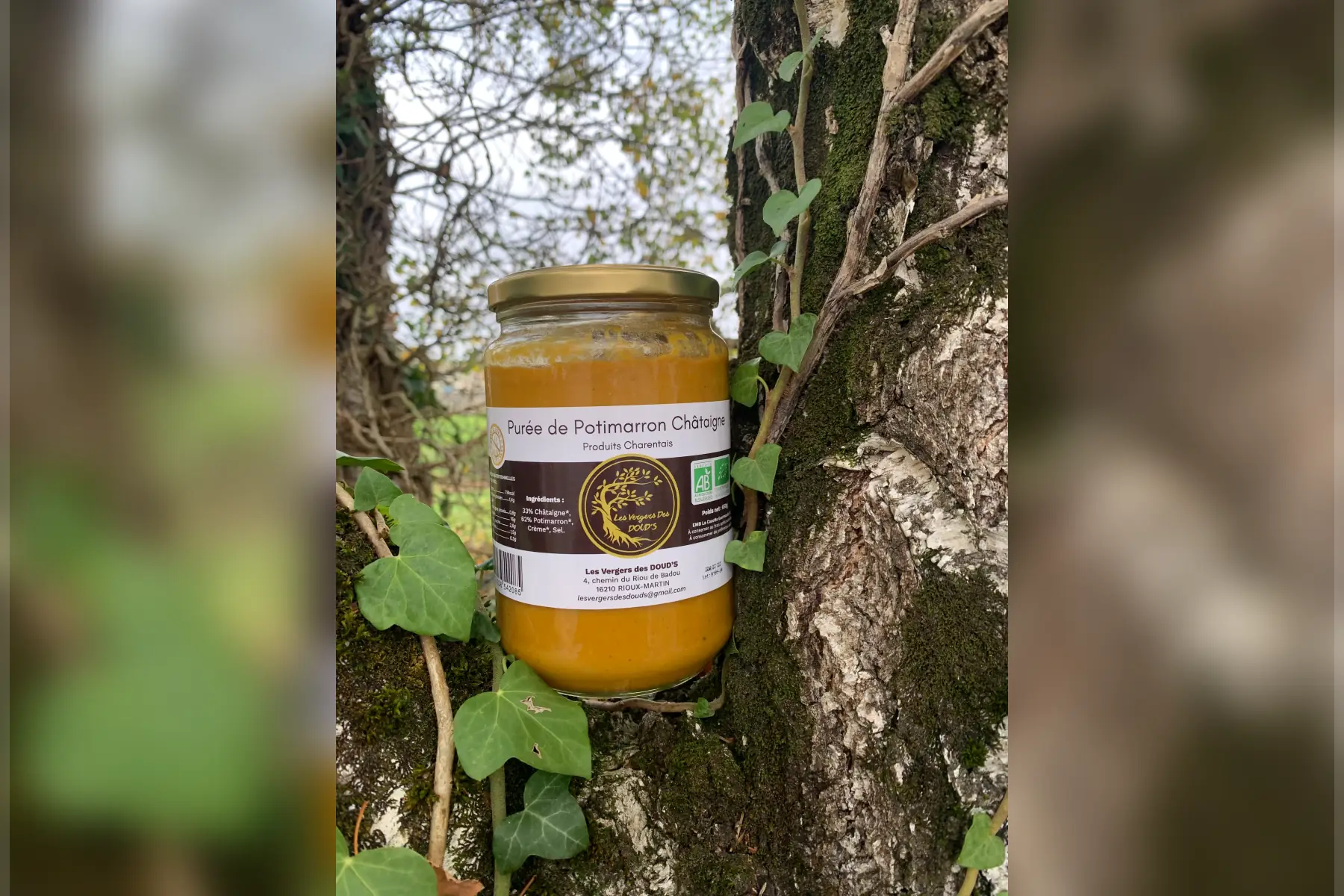 Purée Potimarron-Châtaigne bio