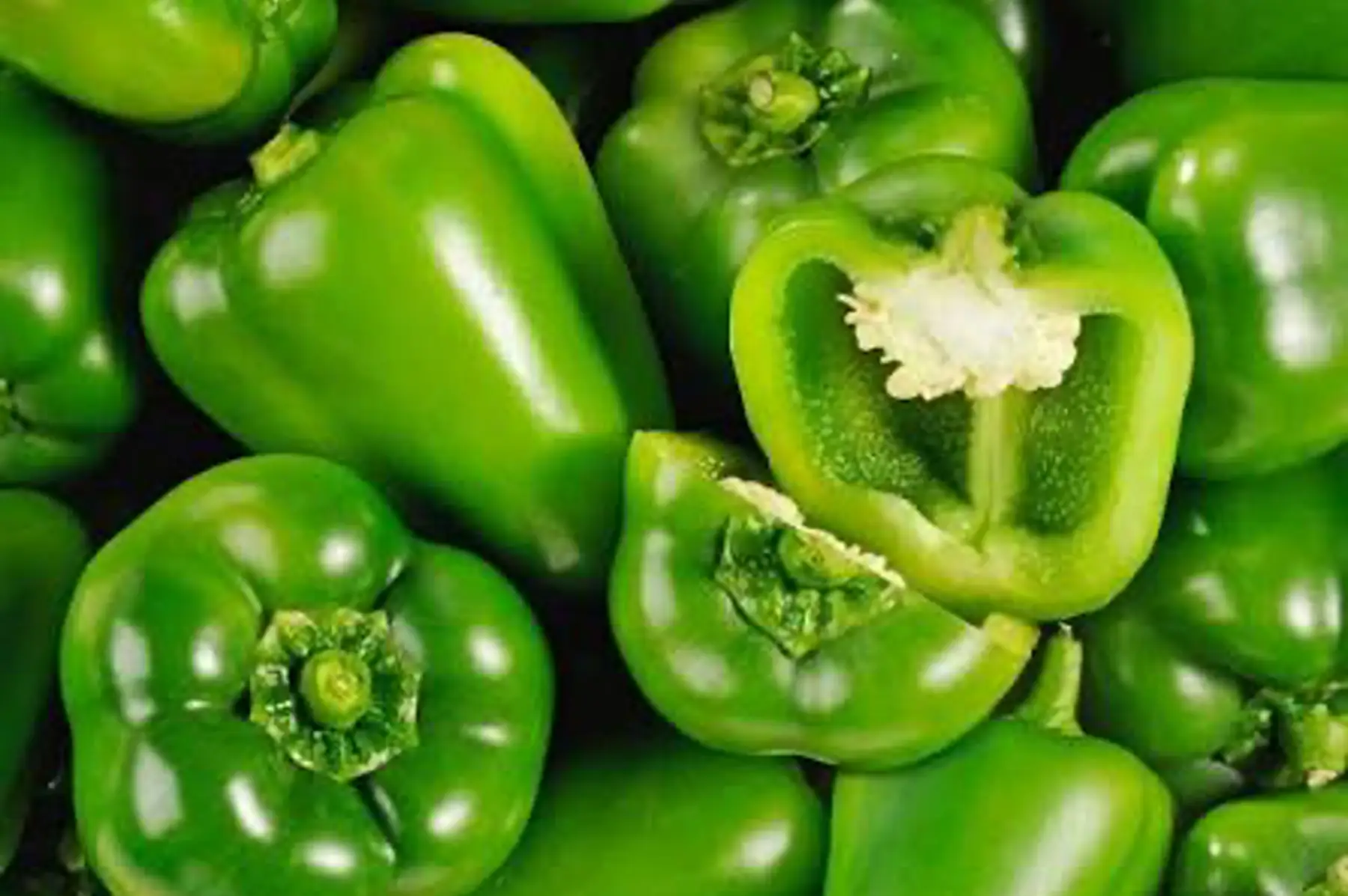 Poivron Vert