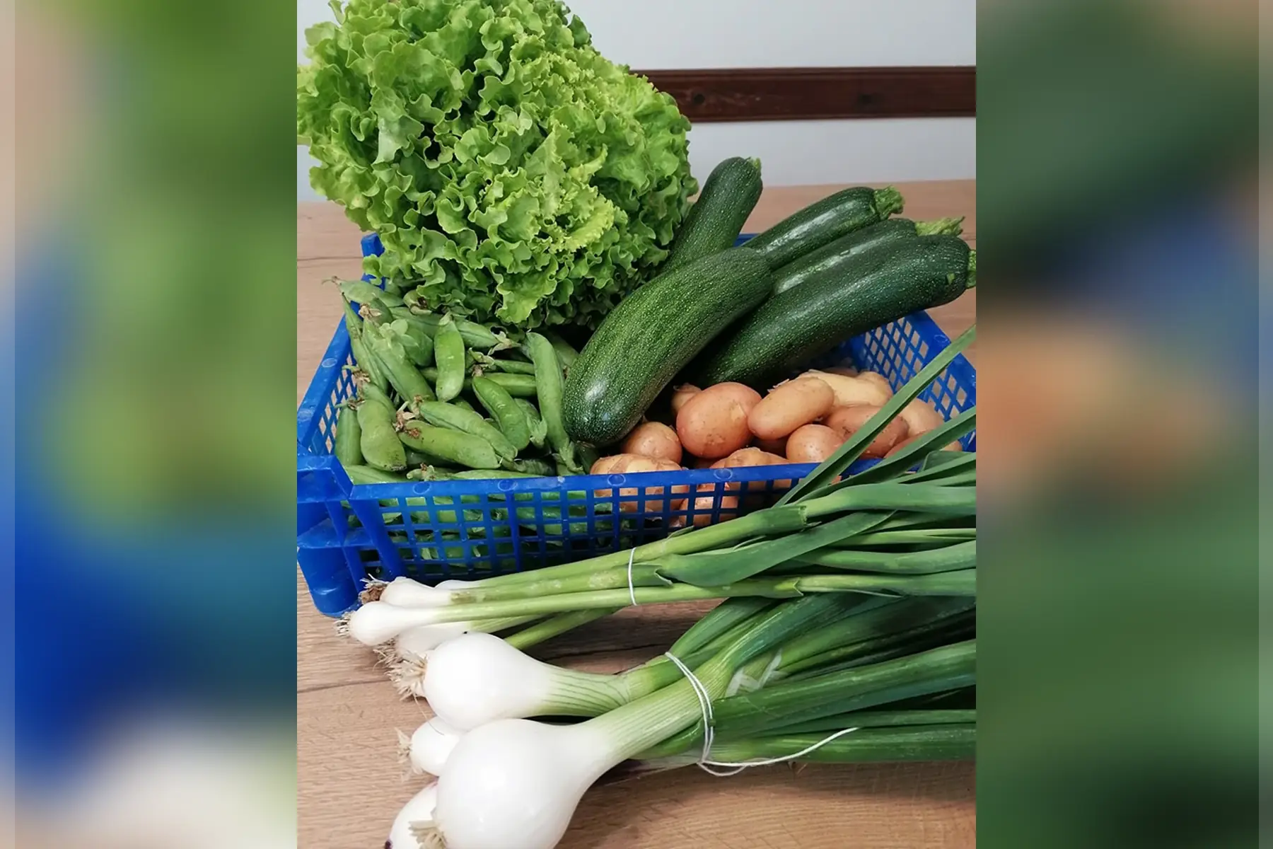 Panier de légumes "semaine"