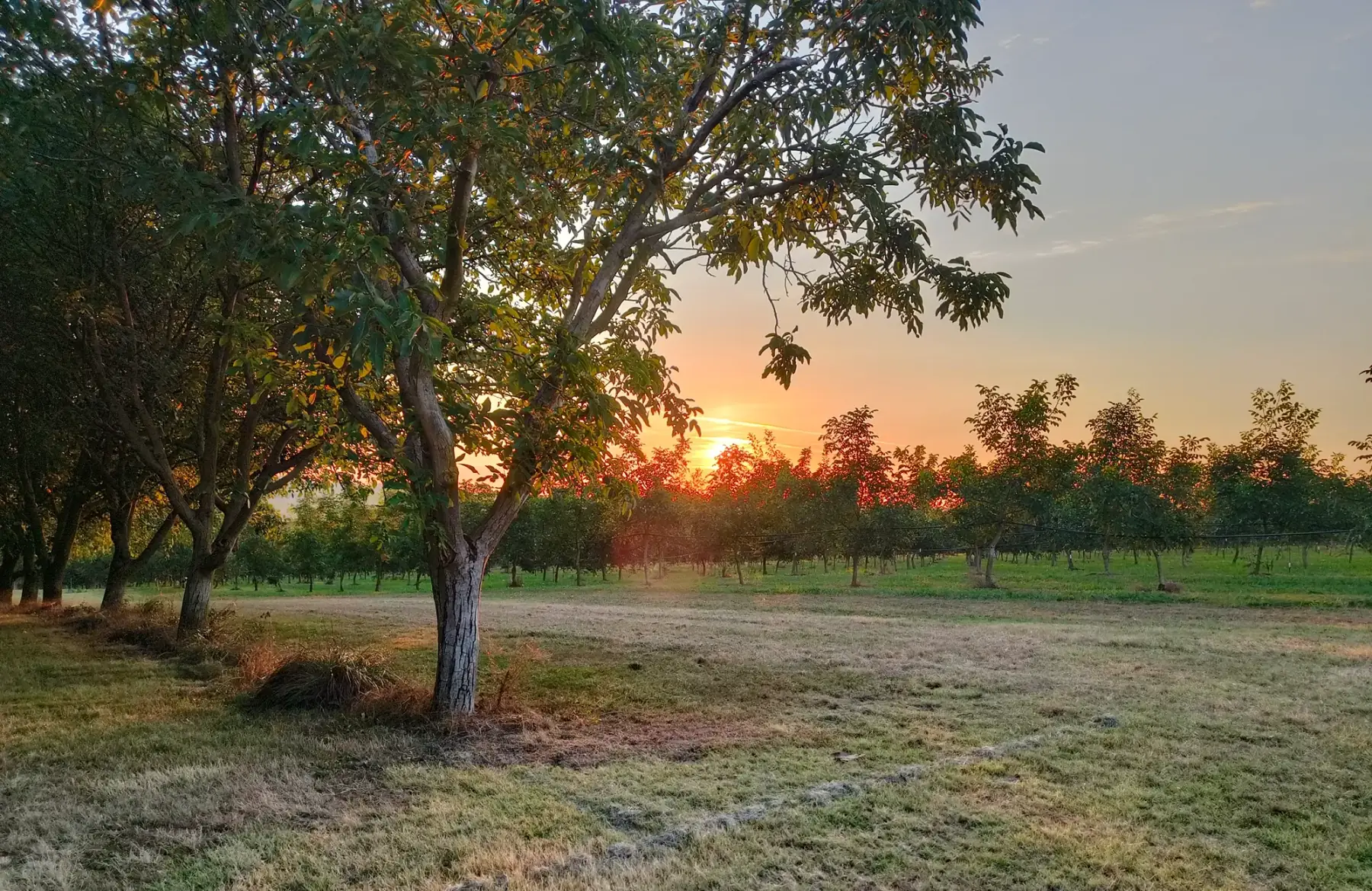 Les Vergers De Tailhac