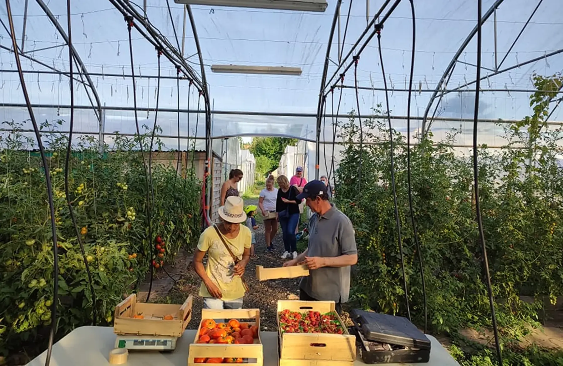 Guillaume Lajoinie - Le Goût des Saisons