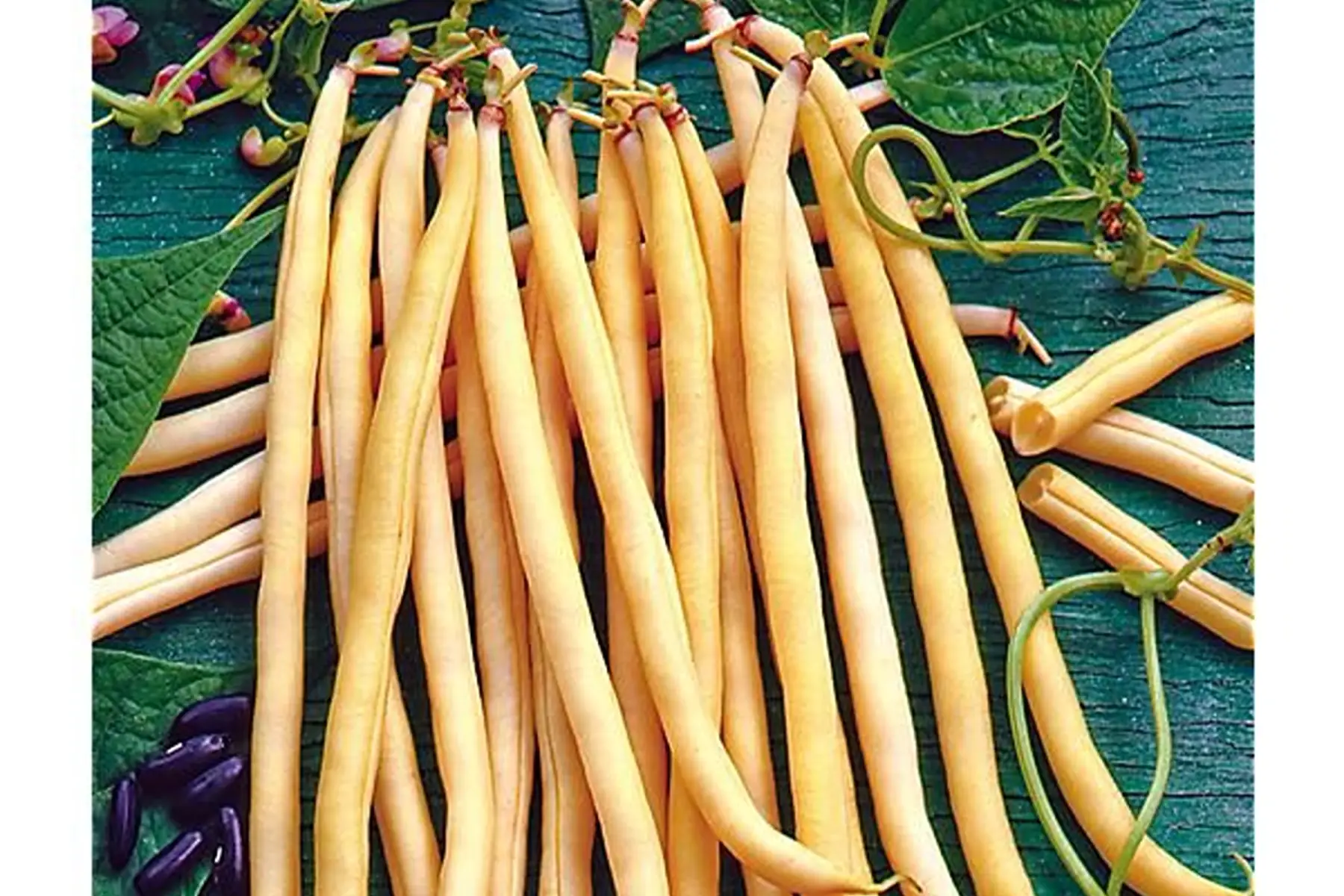 Haricot Beurre