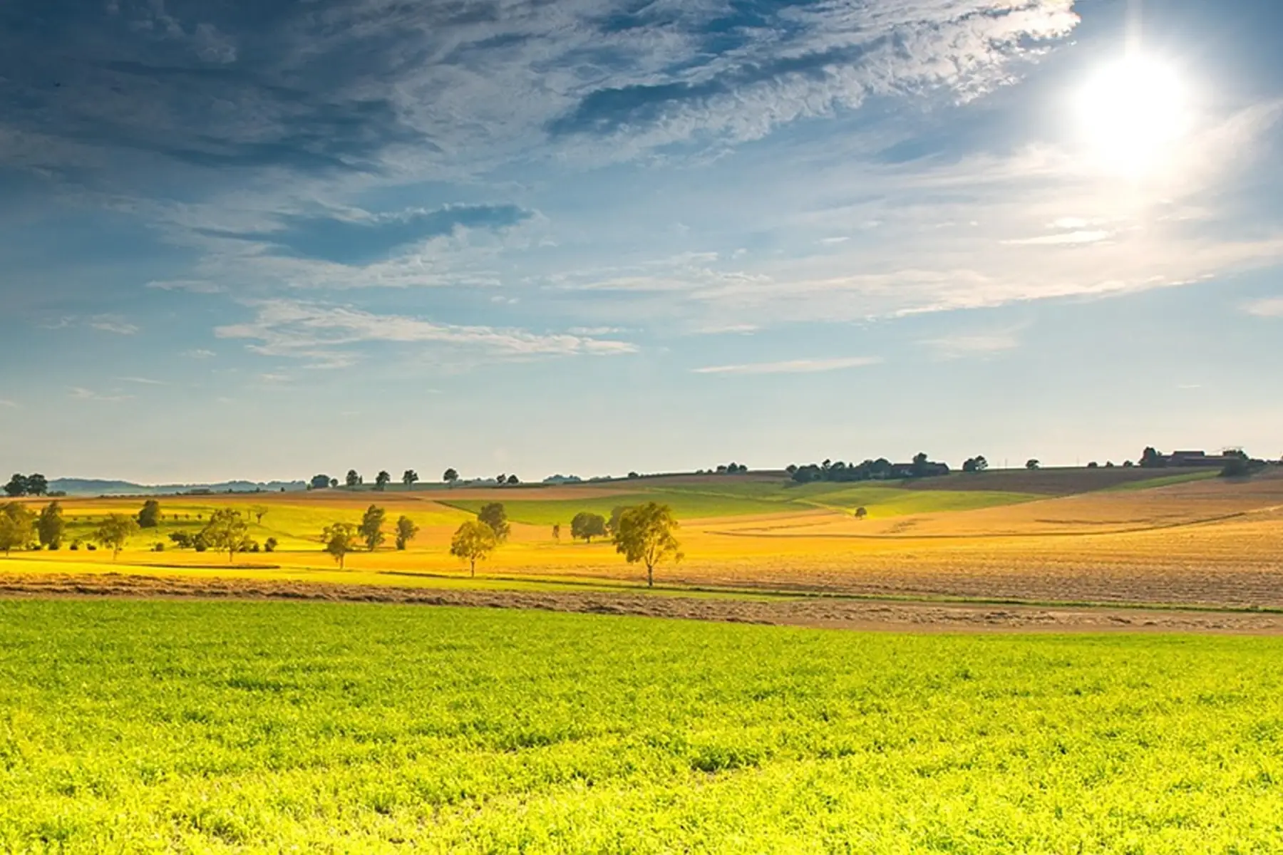 s.c.e.a. la binette bio maraichage