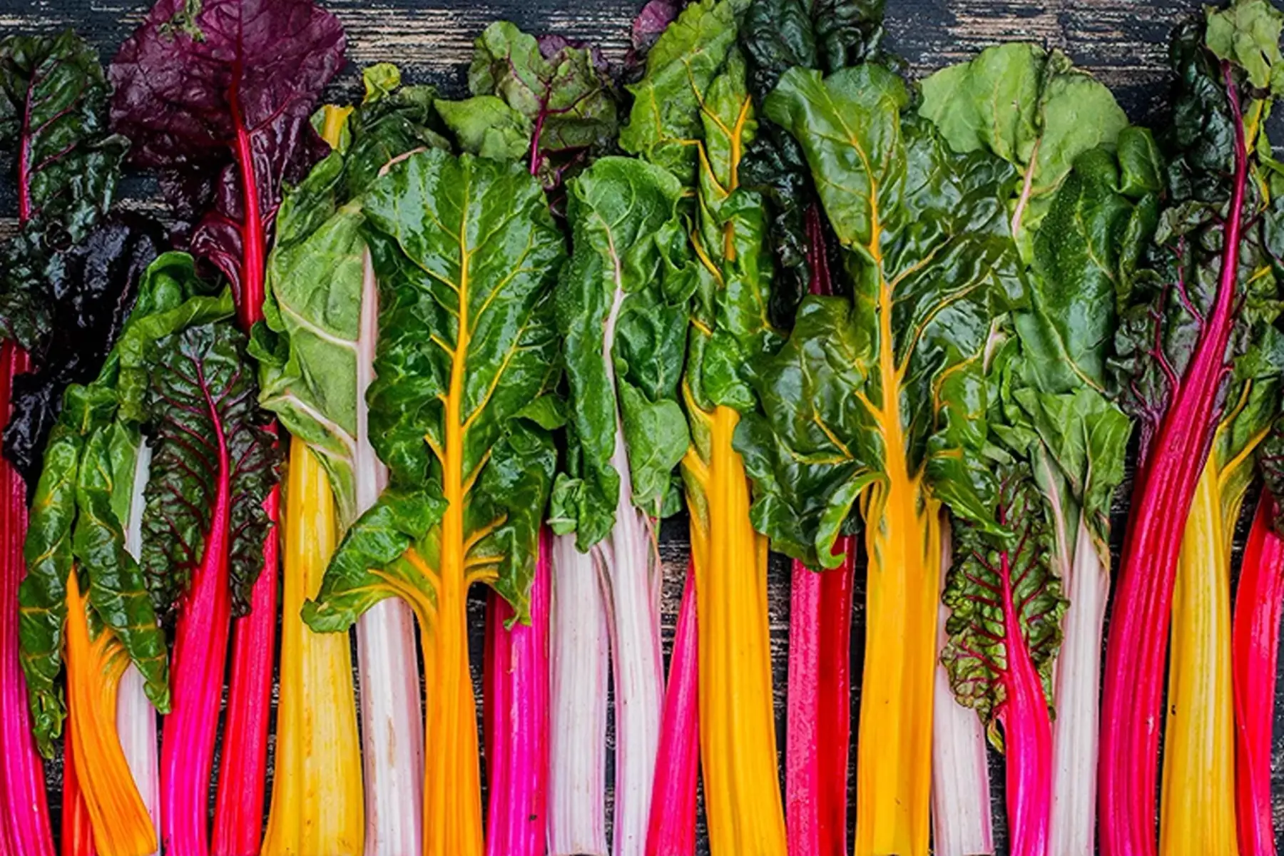 Botte blette couleur