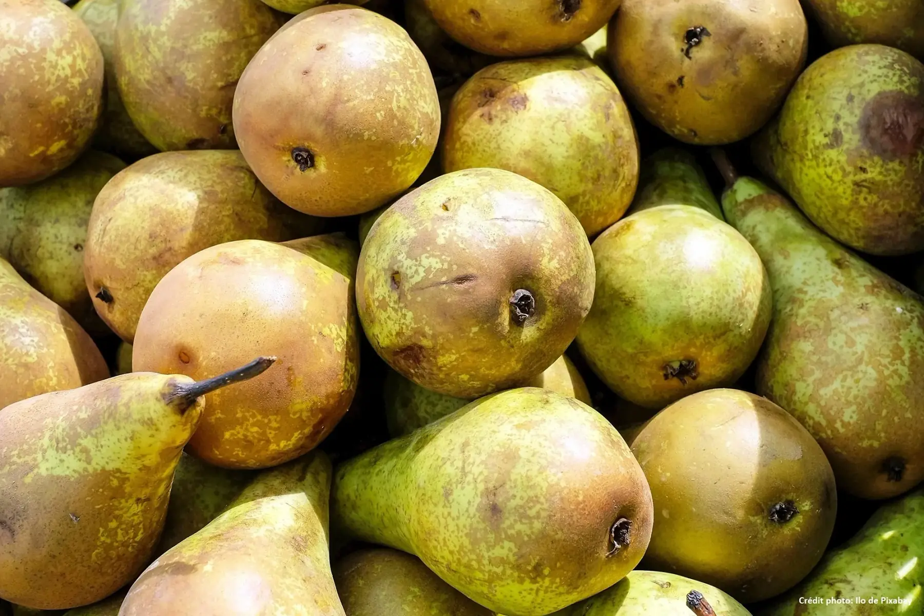 Poire