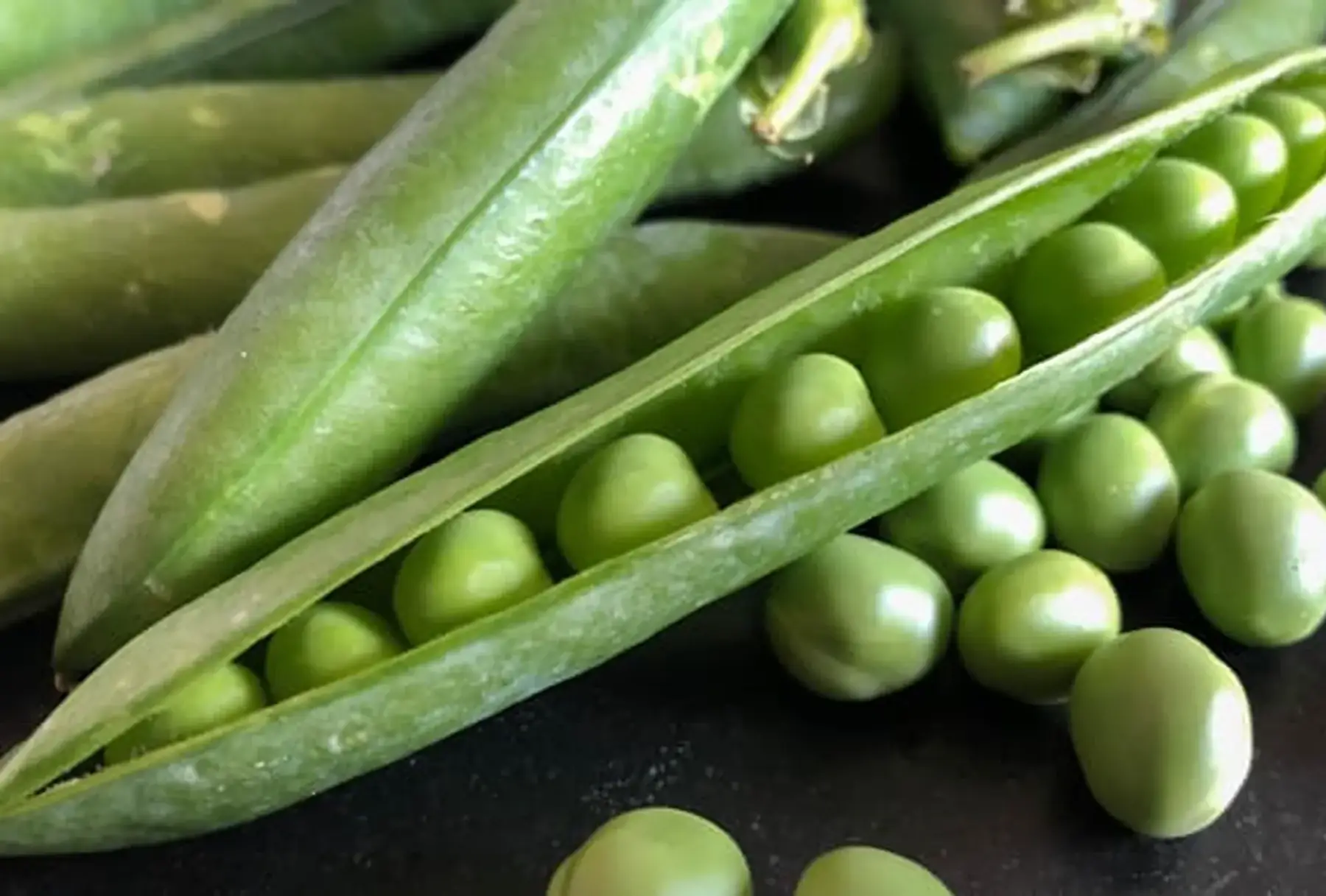 Petit pois à écosser