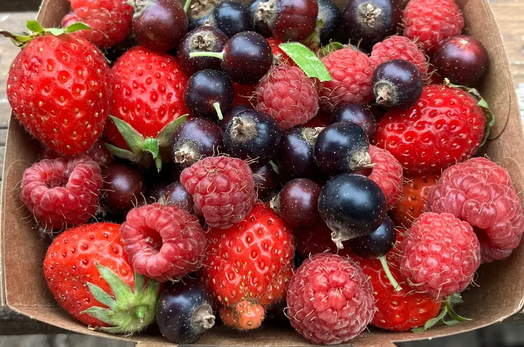 Sirop de fruits rouges