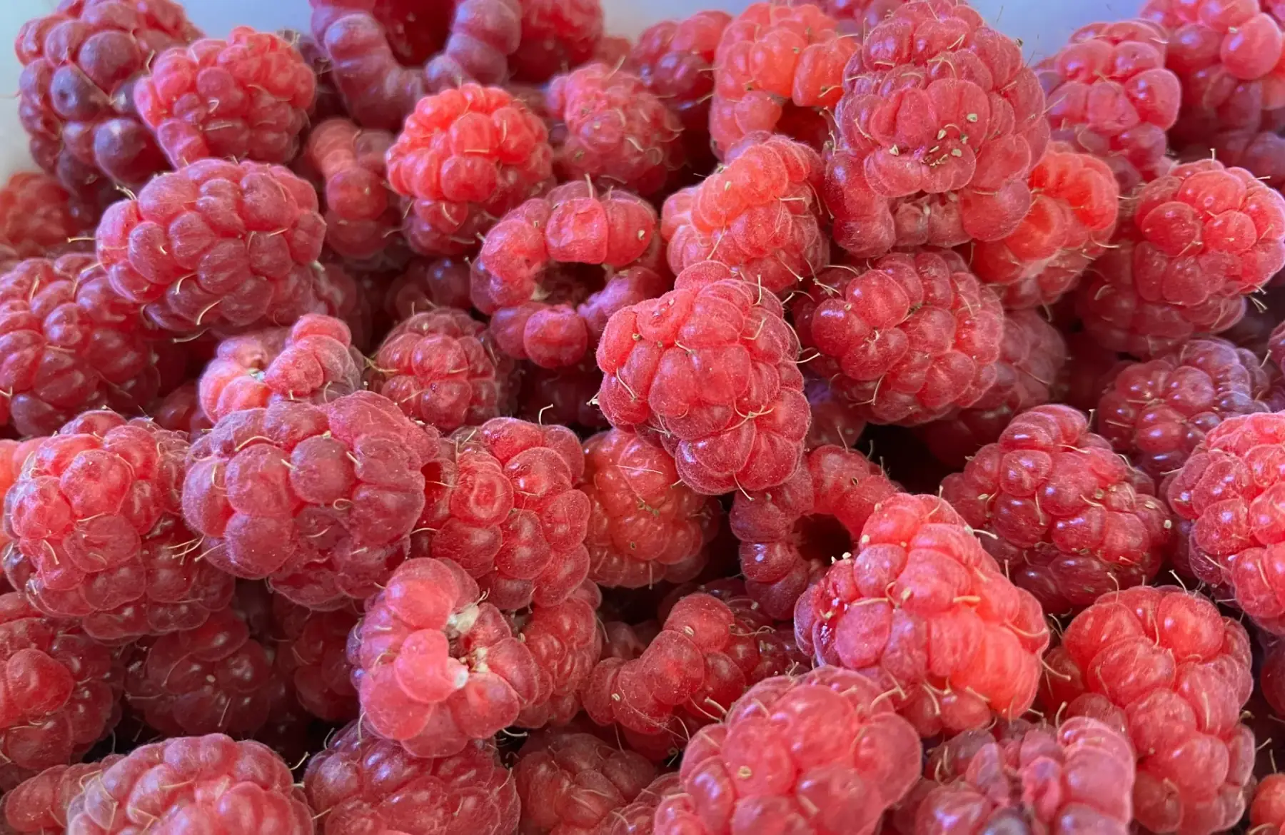 Gelée de framboises