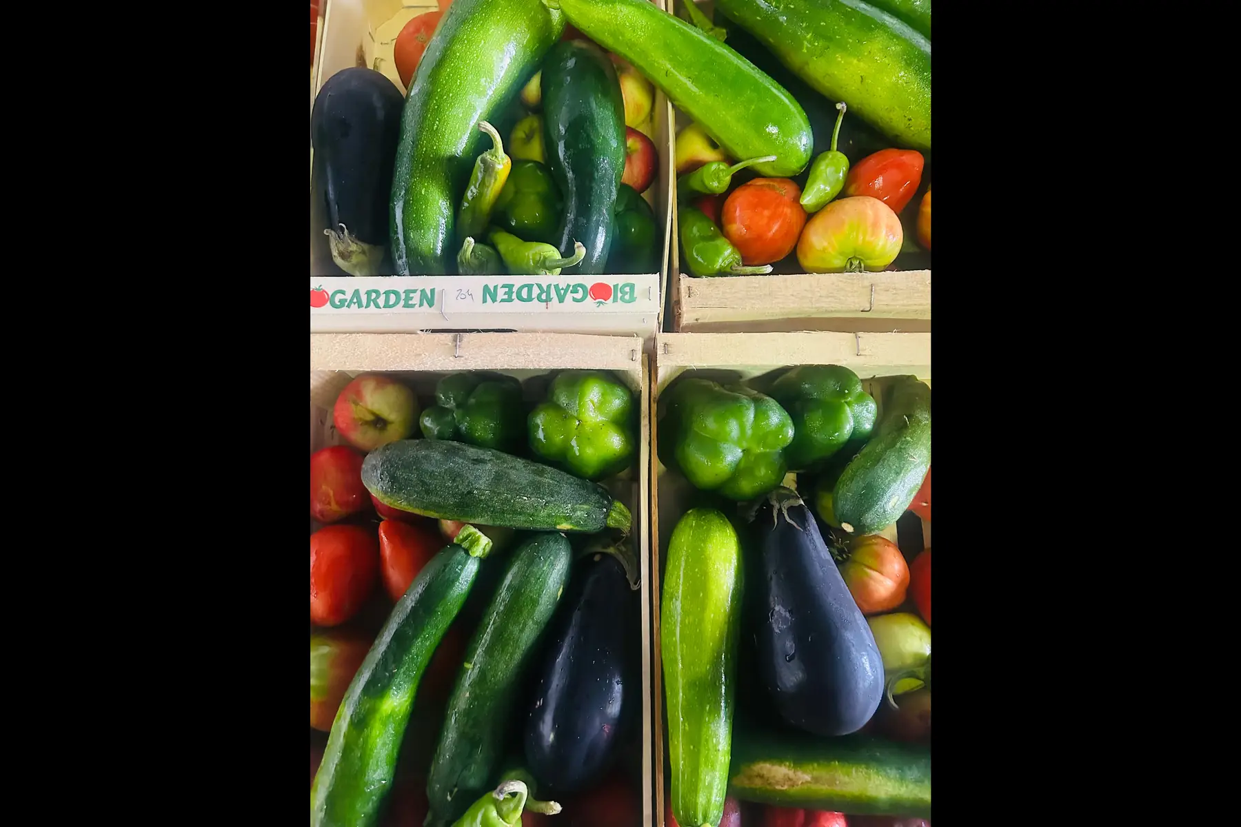 panier legumes ratatouile AB