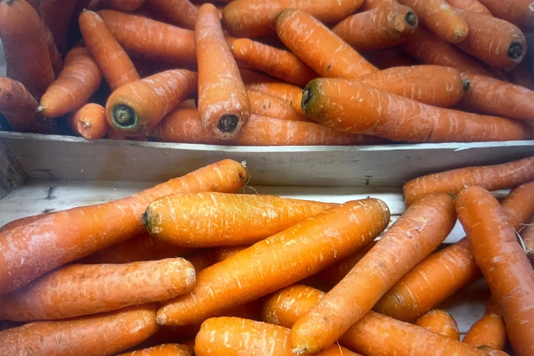 carotte en vrac AB