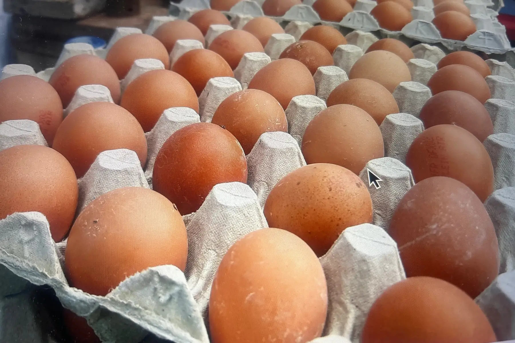 oeufs en plaque de 30 AB