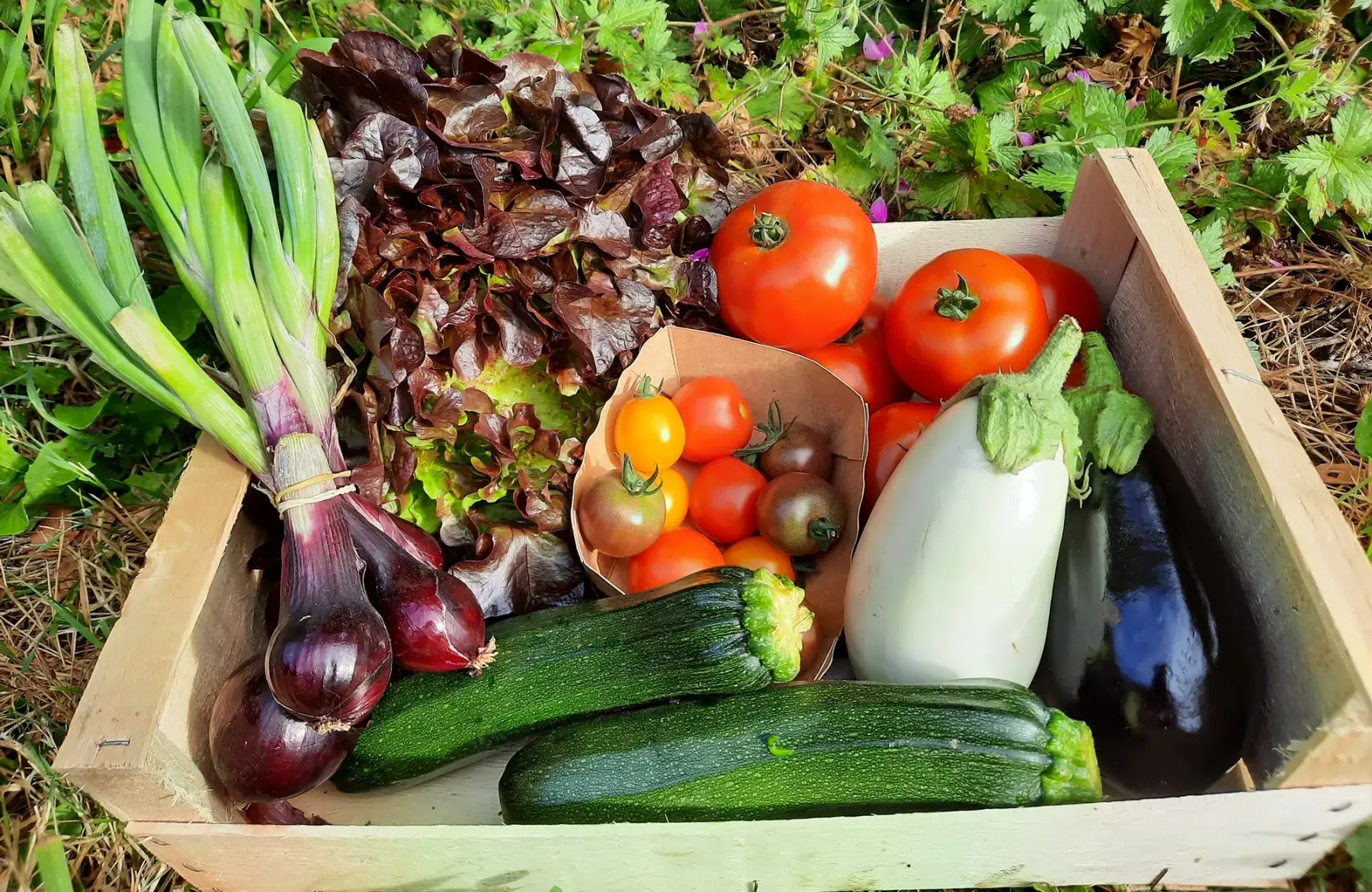 Panier surprise à 10€