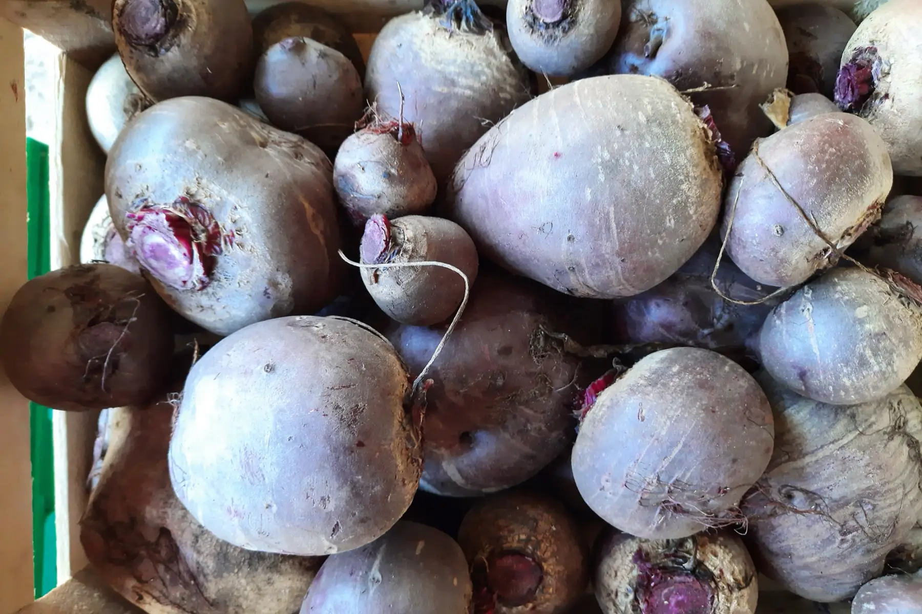 Betterave rouge crue