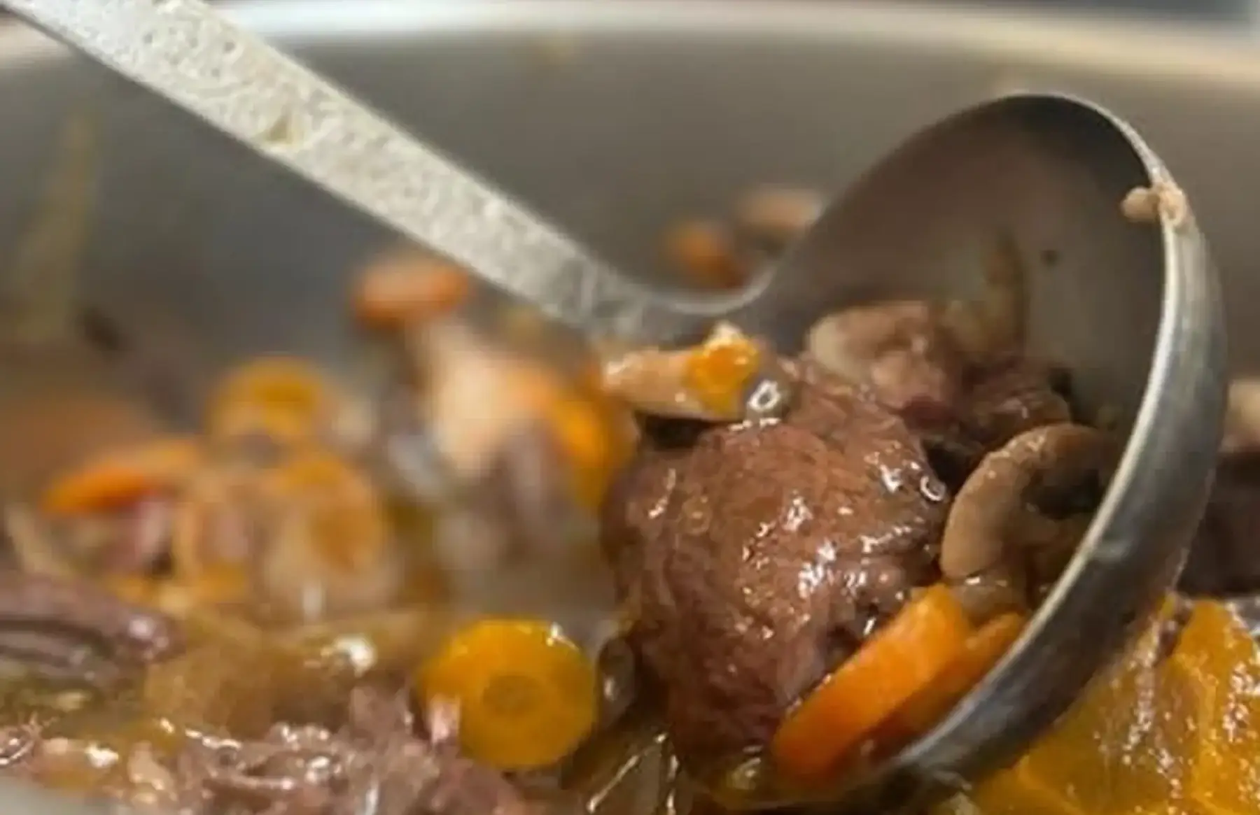 Viande à Bourguignon race BAZADAISE