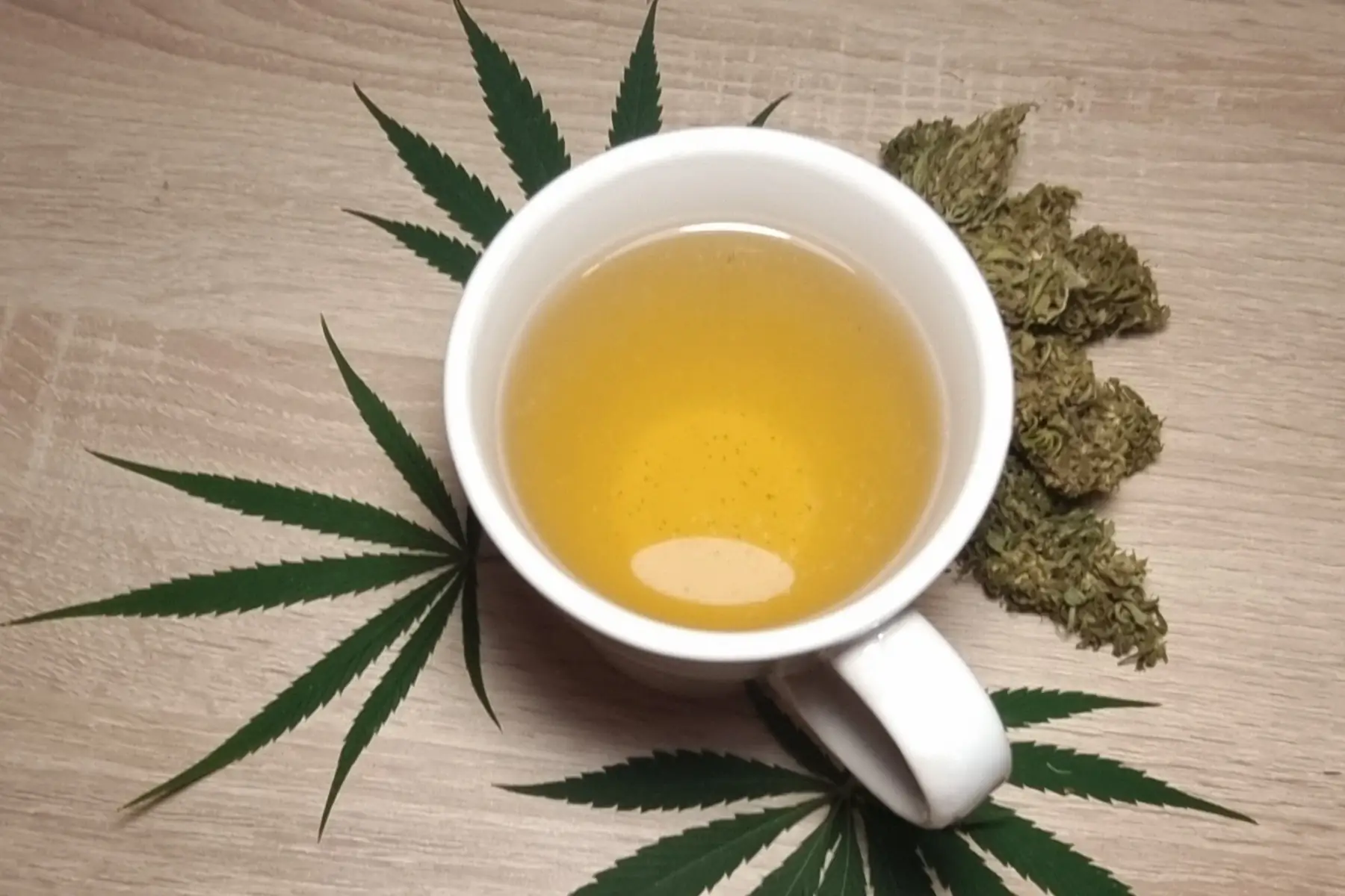 Verte & Rebelle par EARL Malé-Fréville