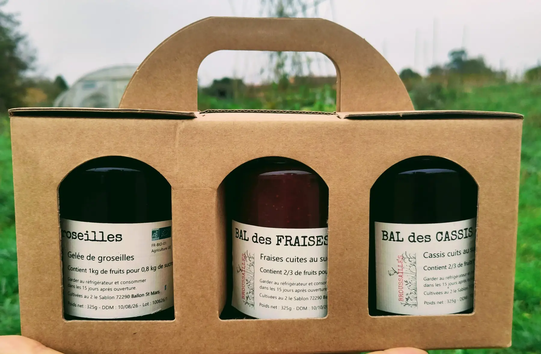 Trio de confiture en pot de 325g