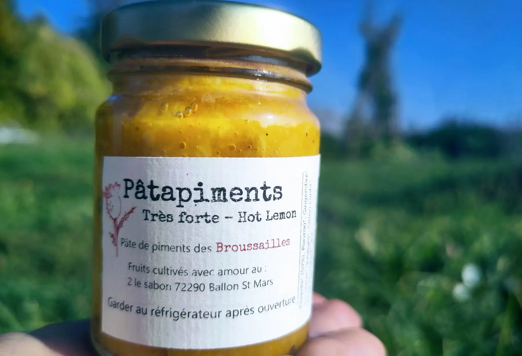 Pâtapiment jaune - Très forte