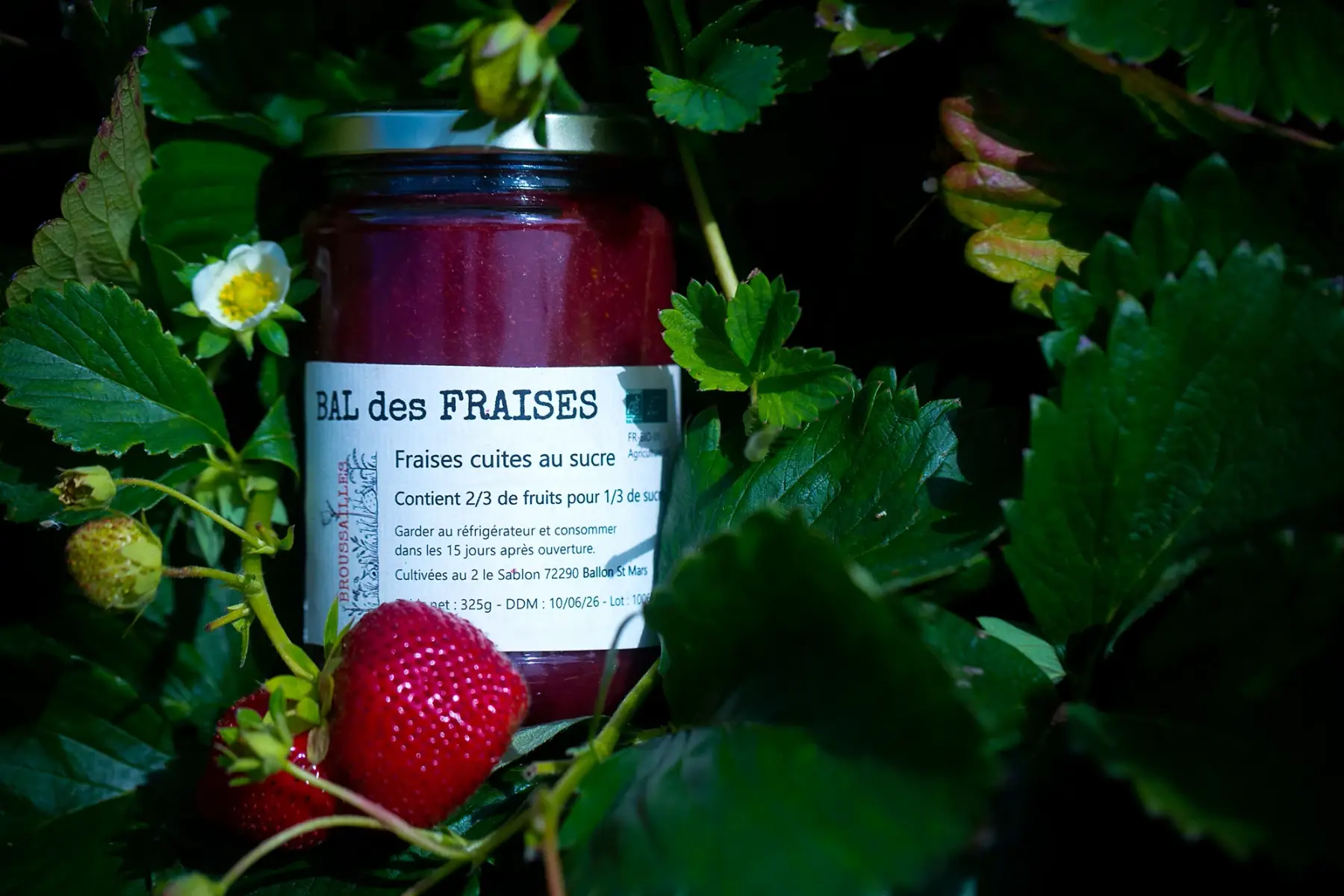 Confiture - Bal des fraises