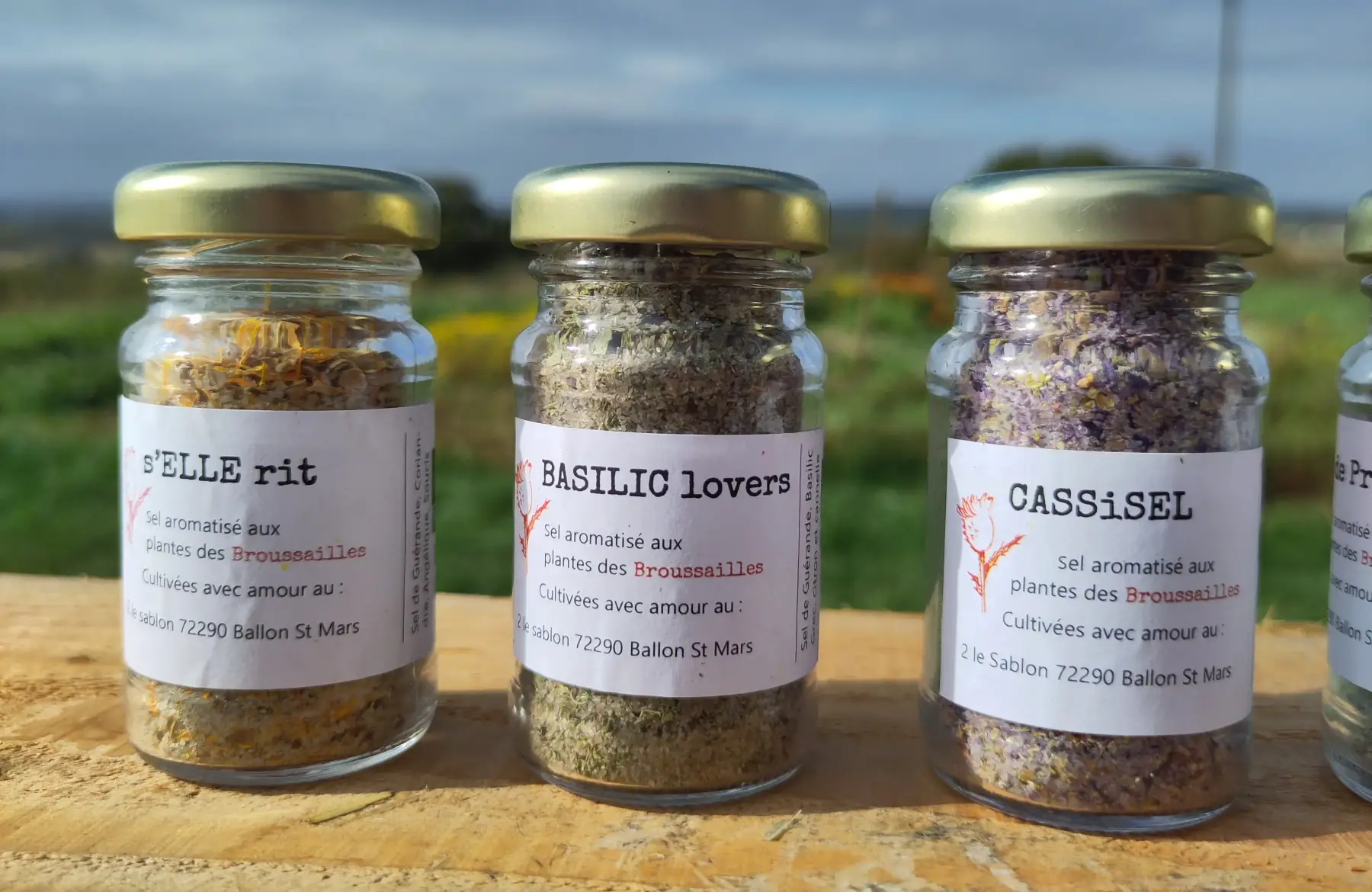 Sel aromatisé - Shizosel