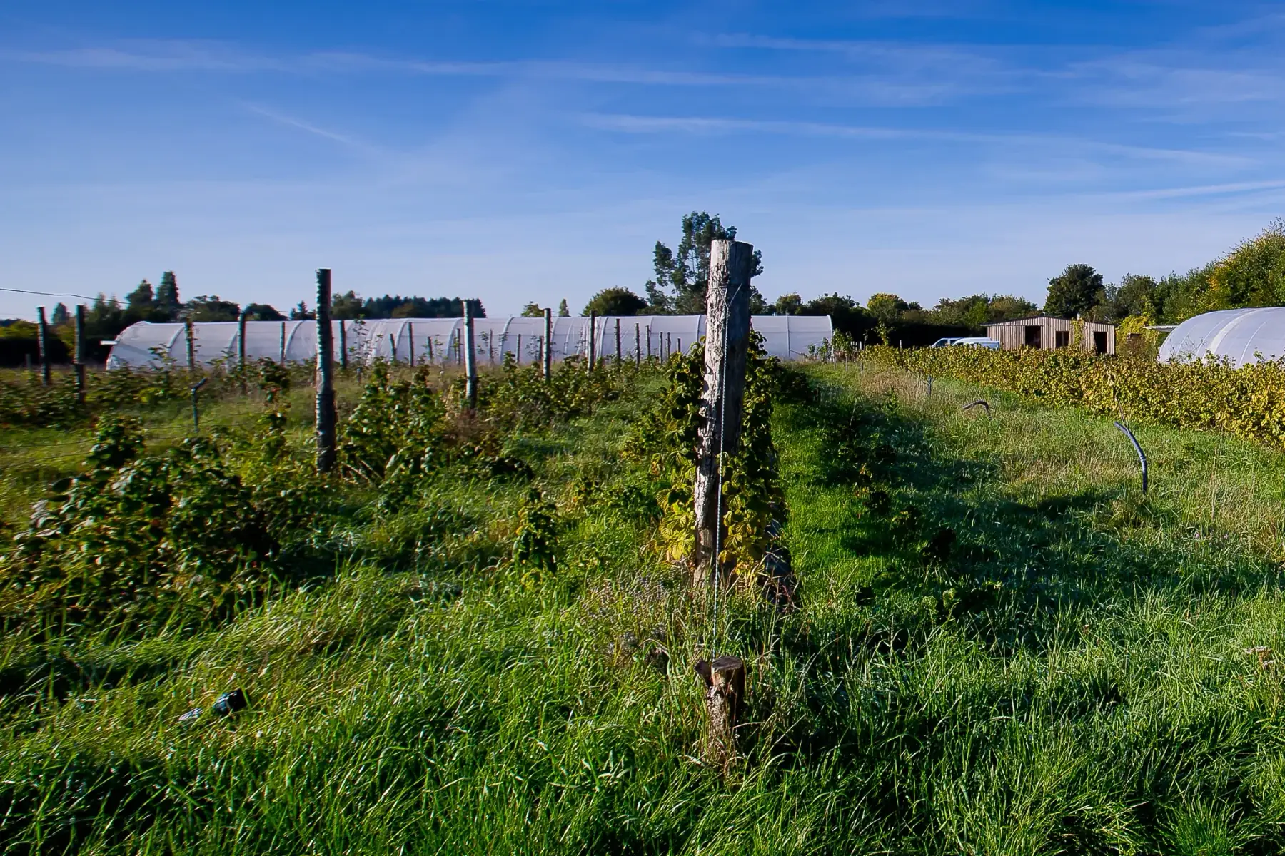 Ferme fruitière et pépinière des Broussailles