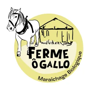la ferme o gallo