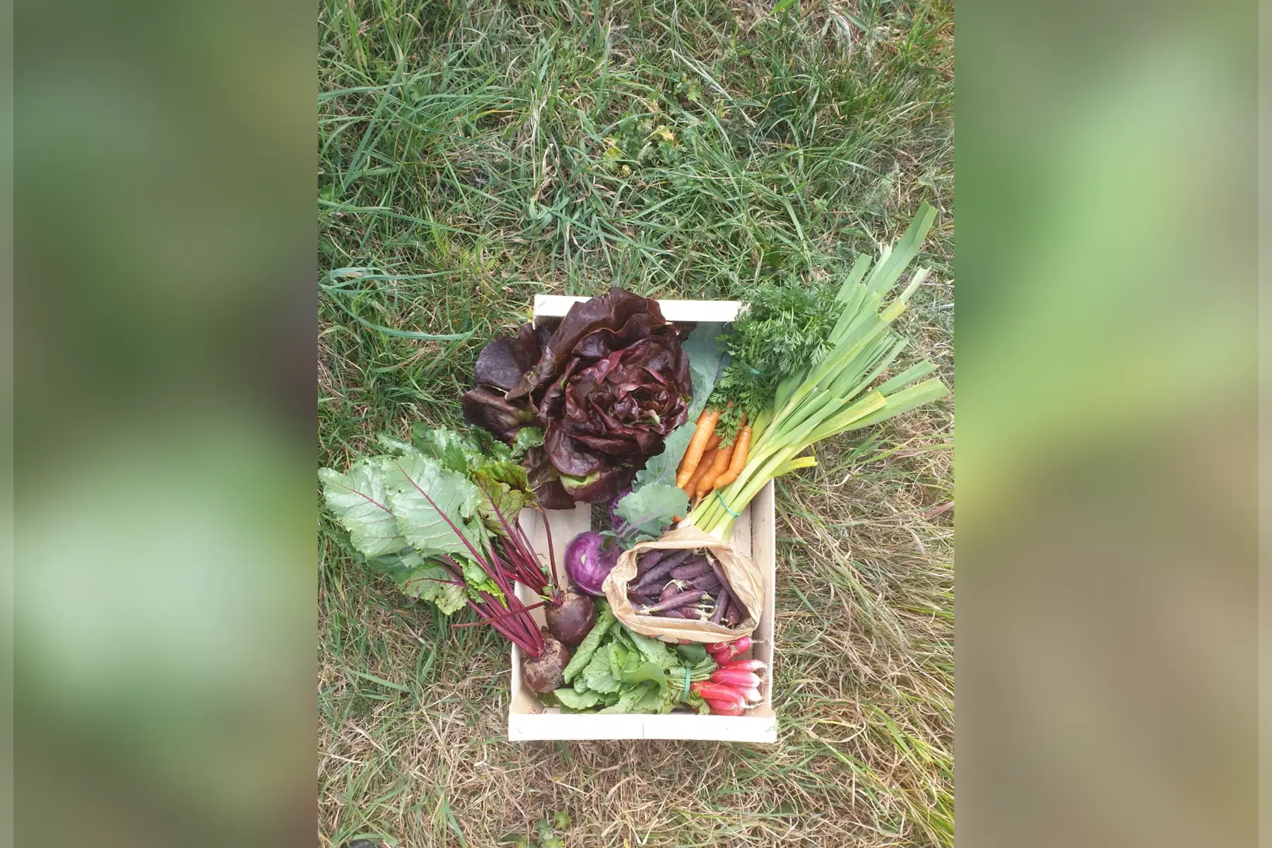 Moyen panier de légumes