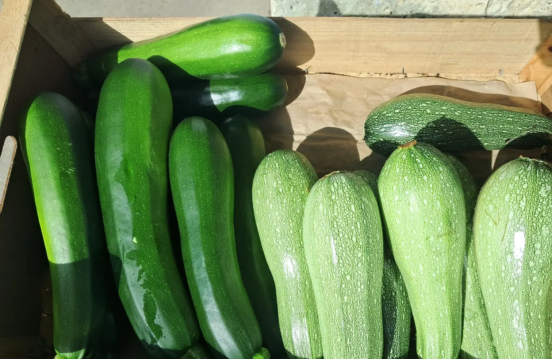 Courgettes à farcir