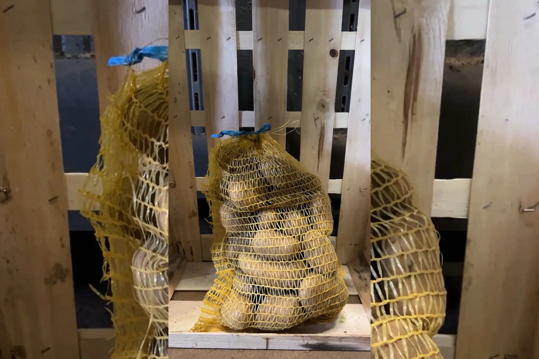 Filet 3kg pomme de Terre Colomba